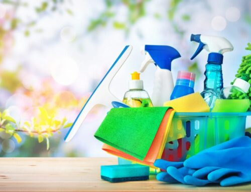 Elevate Your Savannah Home: Top 5 Benefits of Professional Cleaning