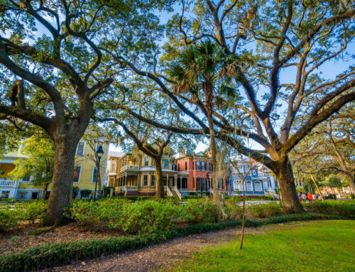 Things to do in Savannah When You No Longer Have to Clean Own Home