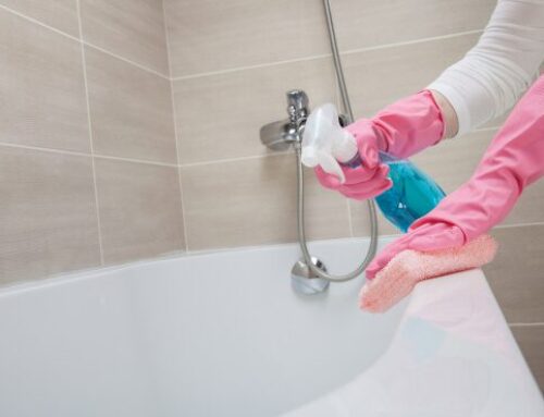 From Chaos to Serenity: How Professional Cleaners Can Transform Your Home