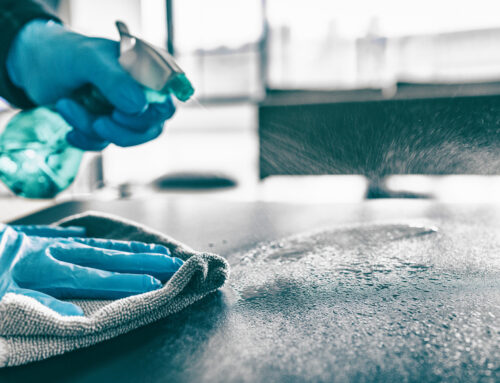 As Featured In: The Spruce Highlights Hubbard’s Maid Service on Outdated Cleaning Habits to Ditch