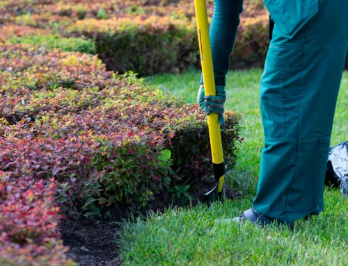Top 3 Professional Landscapers in Richmond Hill, GA for 2026